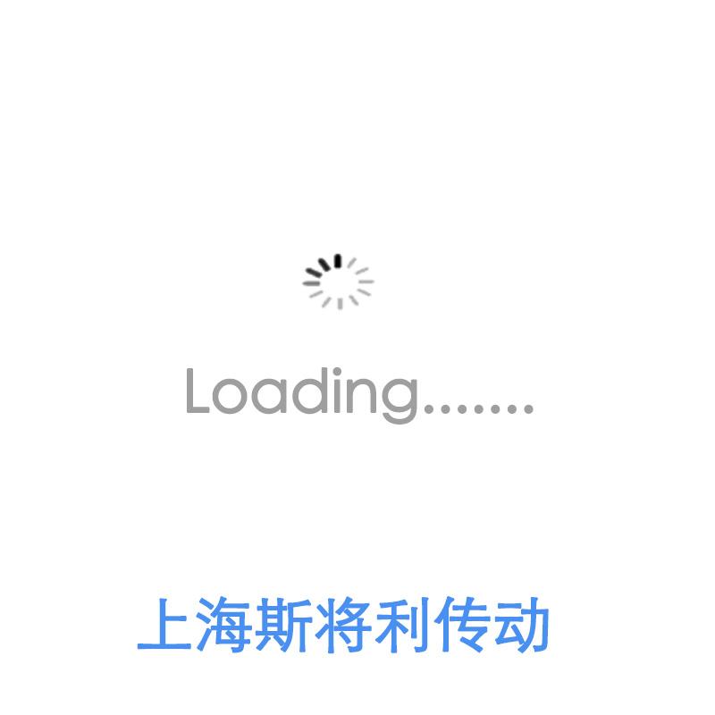 PMI FSDU2020B-2.0P pmi丝杆批发